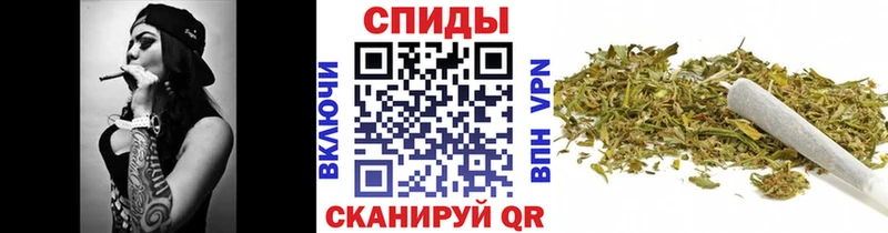 Купить  Суджа  Бутират BDO 